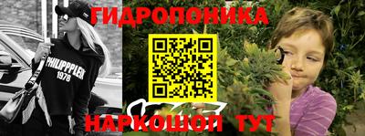 прущие грибы Гулькевичи